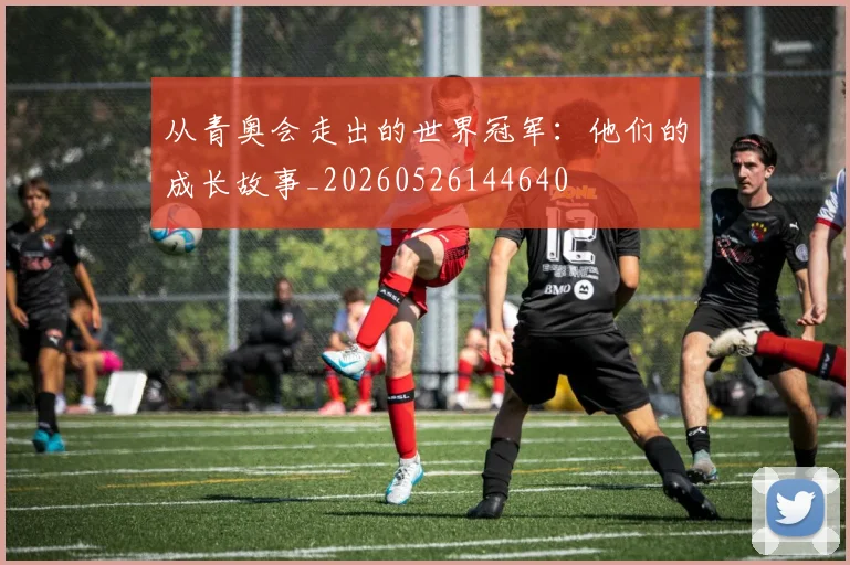 从青奥会走出的世界冠军：他们的成长故事_20260526144640