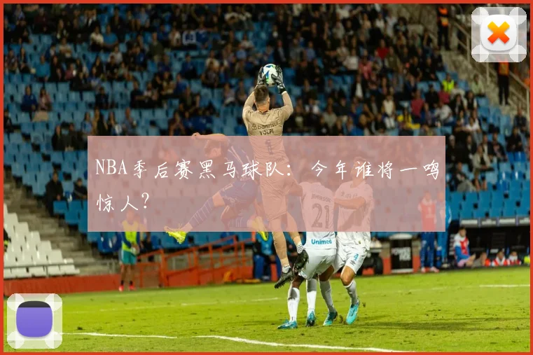 NBA季后赛黑马球队:今年谁将一鸣惊人?